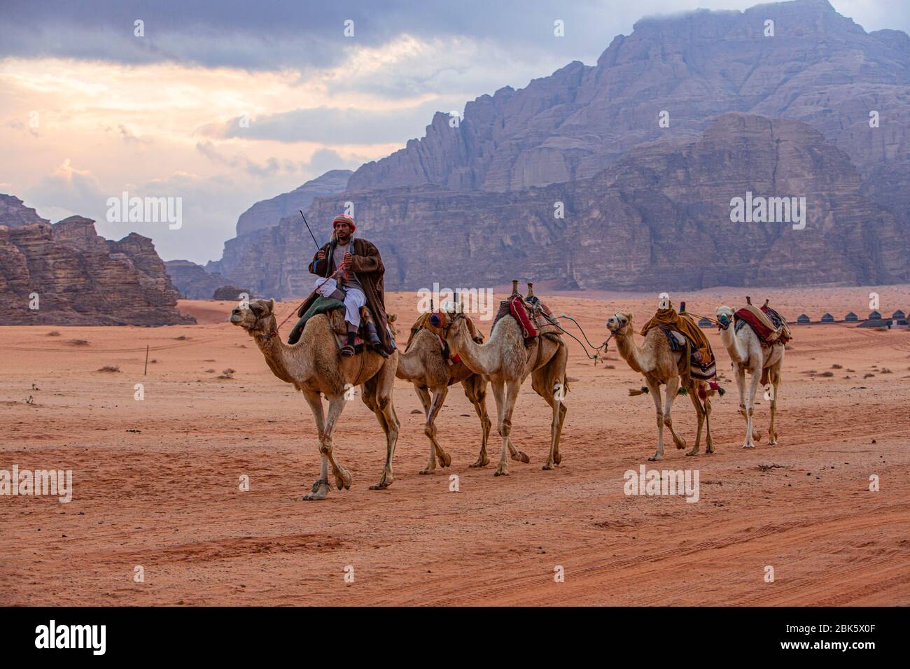 Beduinen in Kamelzug in der Wüste Wadi Rum, Jordanien Stockfoto