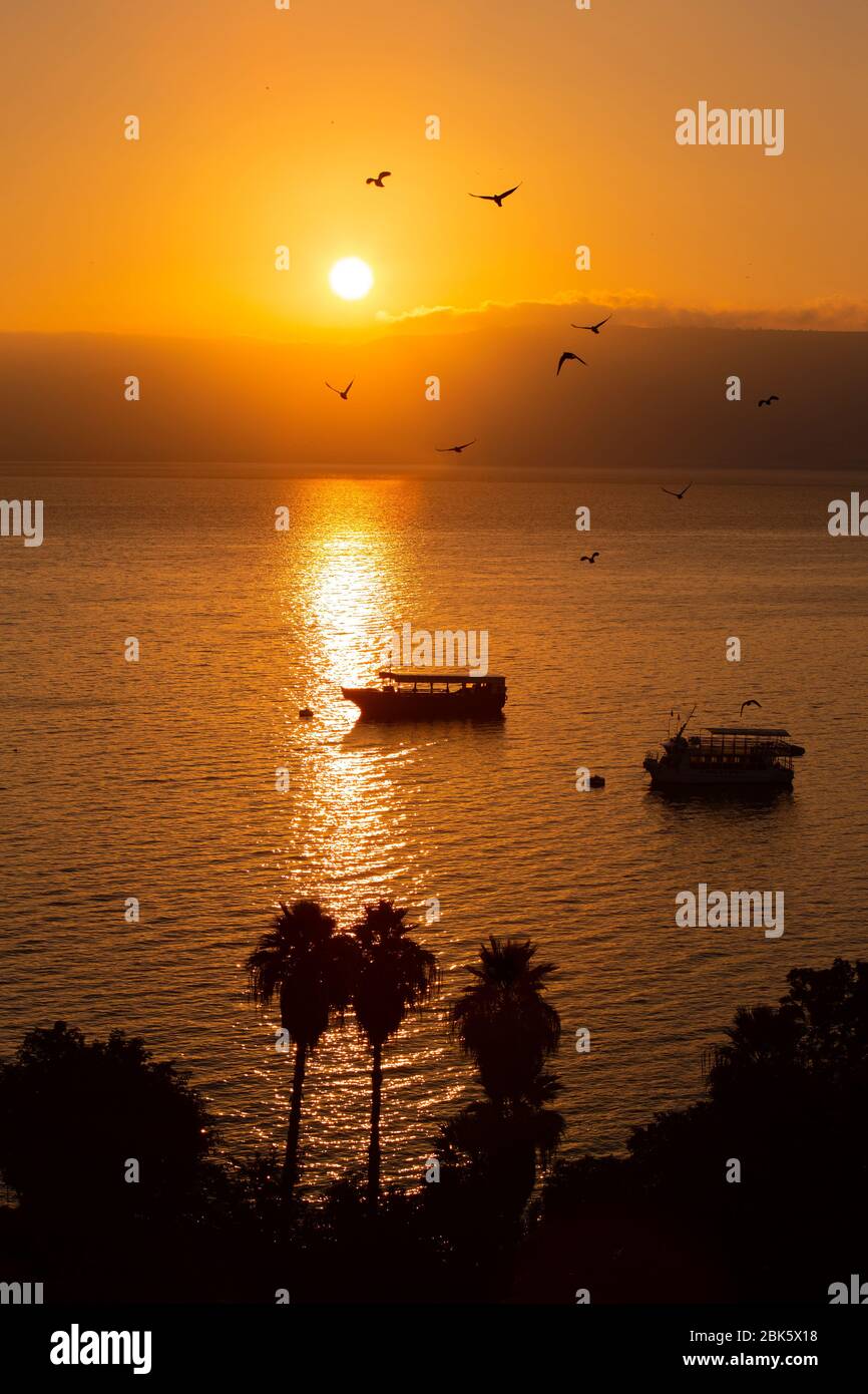 Sonnenaufgang über dem See von Galiläa, See Tiberias, Israel Stockfoto