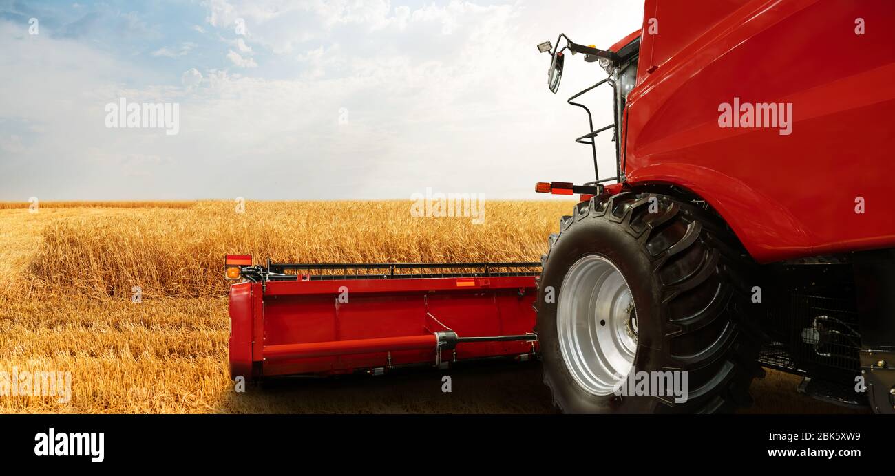 Mähdrescher auf dem Weizenfeld Stockfoto