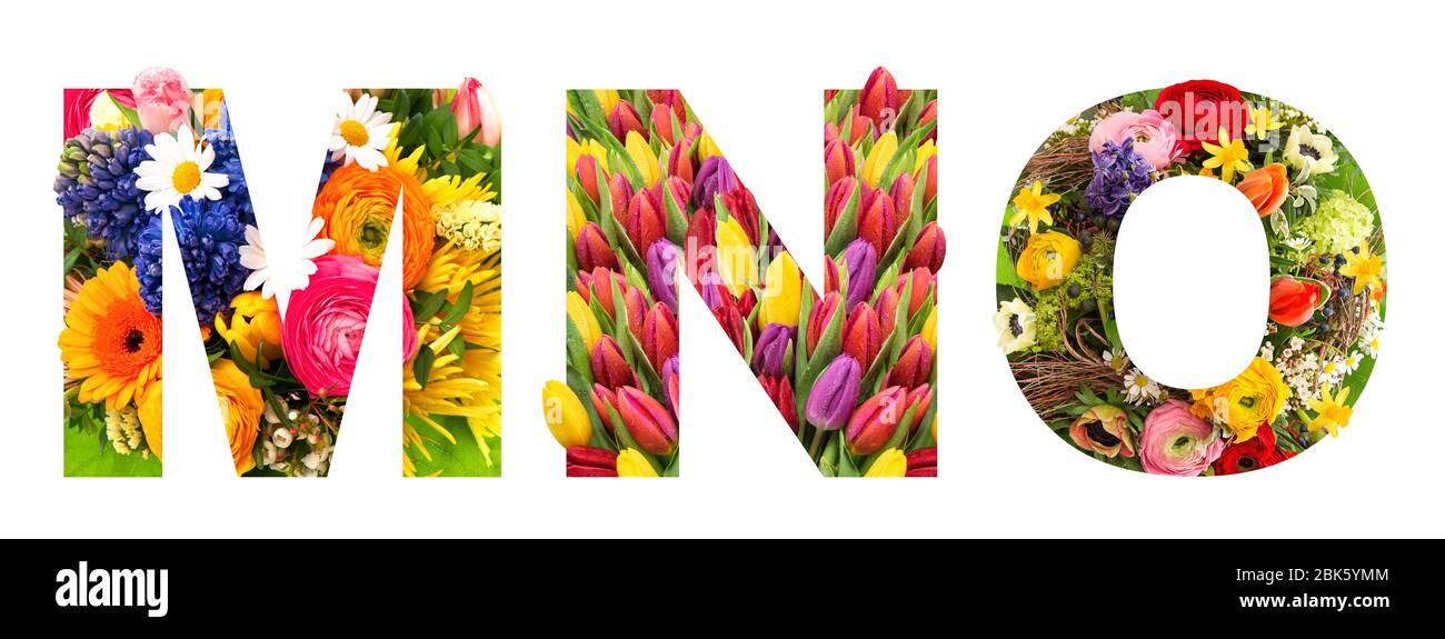 Letter M N O. Floral Schriftzug. Alphabet ABC von Blumenköpfen Bouquet isoliert auf weißem Hintergrund Stockfoto