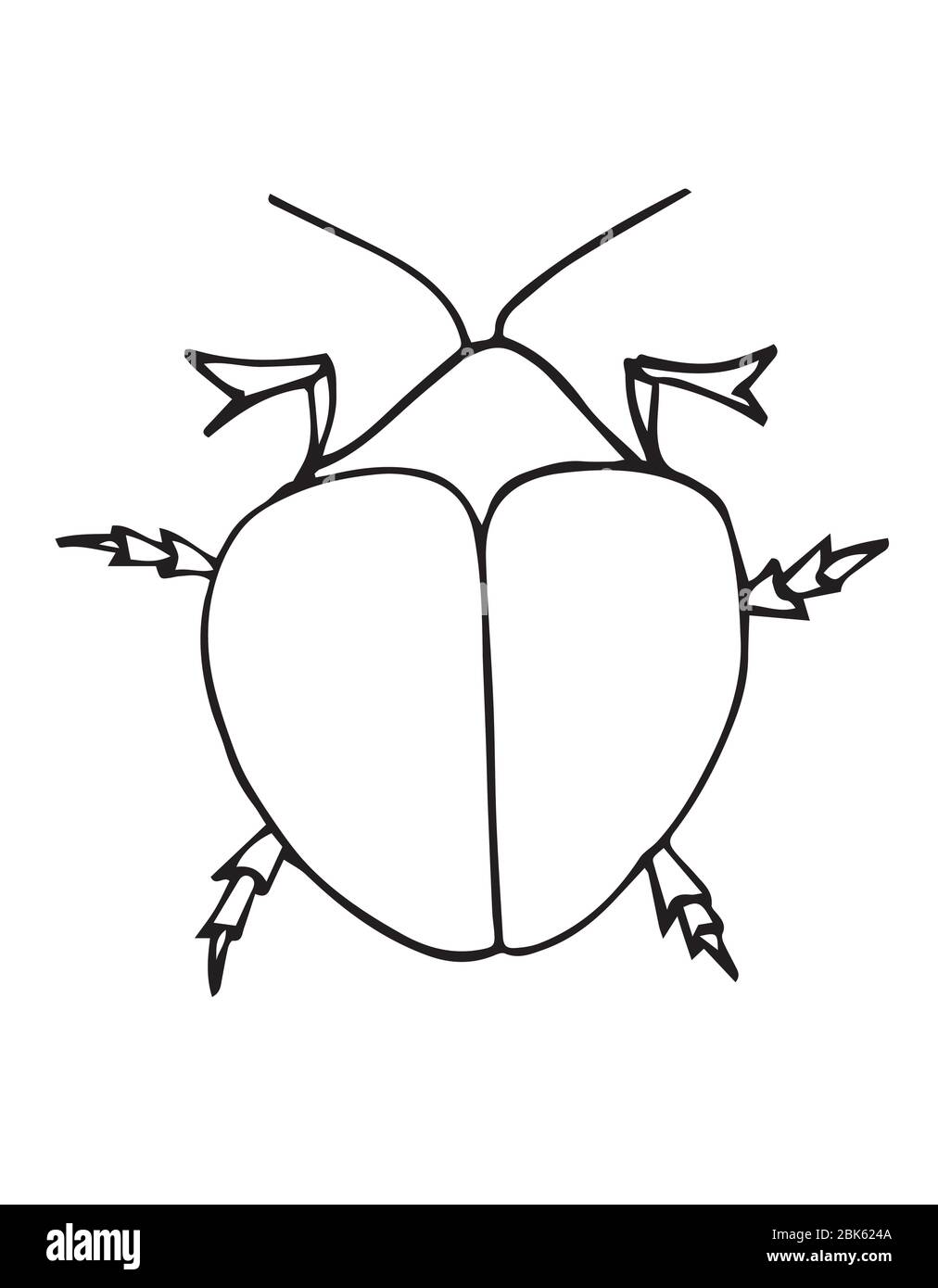 Insektenumriss Vektor, Symbol. Einfaches Malbuch für Kinder. Exotische Bug-Sammlung.Hand gezeichnet Doodle-Stil, isoliert Stock Vektor