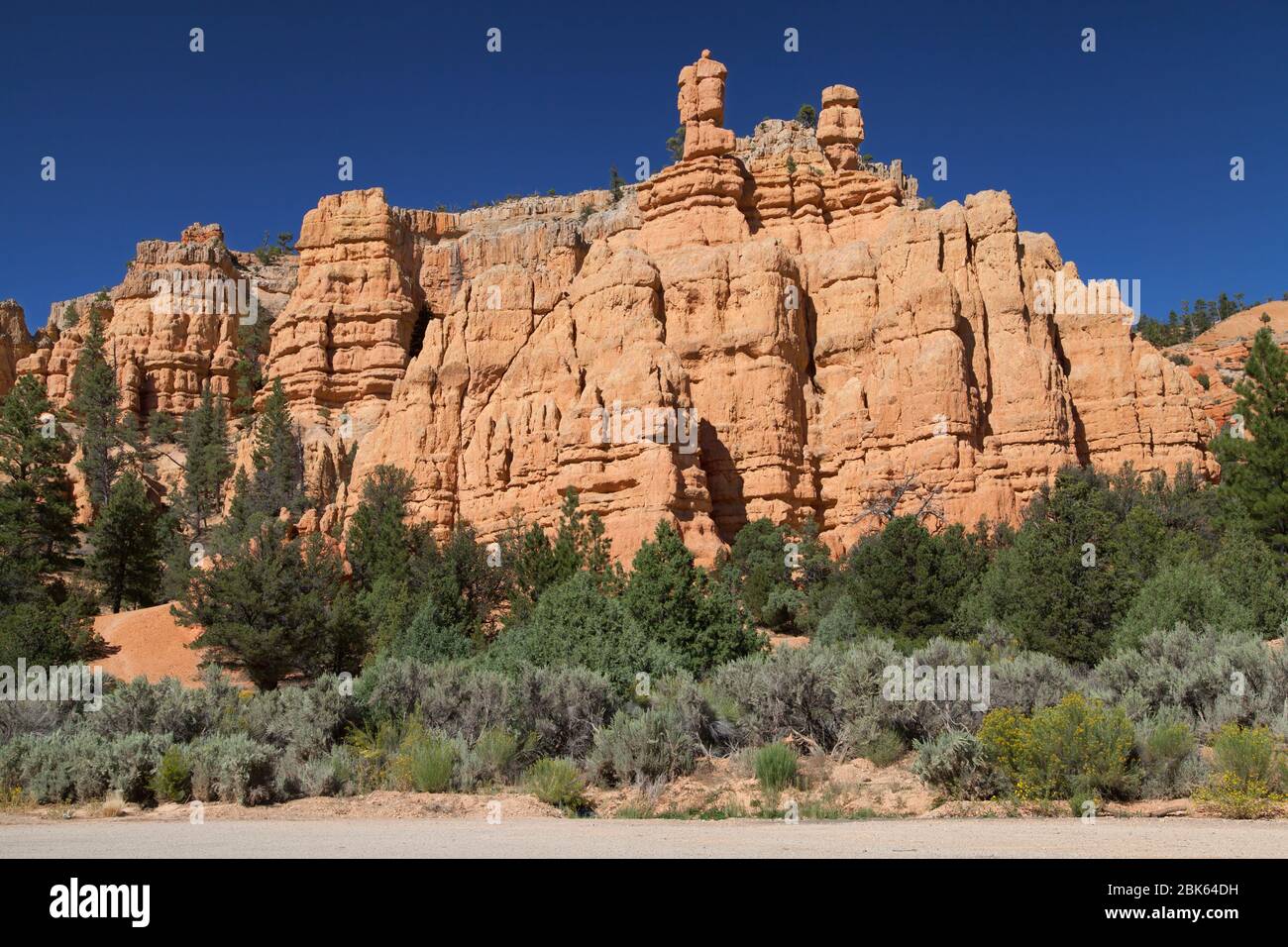 Sandsteinfelsen im Red Canyon entlang der malerischen Nebenstraße 12, Dixie National Forest, Utah, USA. Stockfoto