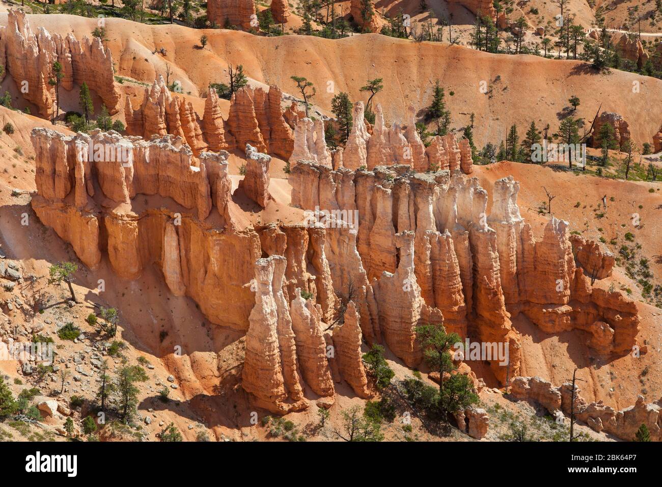 Dutzende von Hoodoos von Sunset Point, Bryce Canyon National Park, Utah, USA. Stockfoto