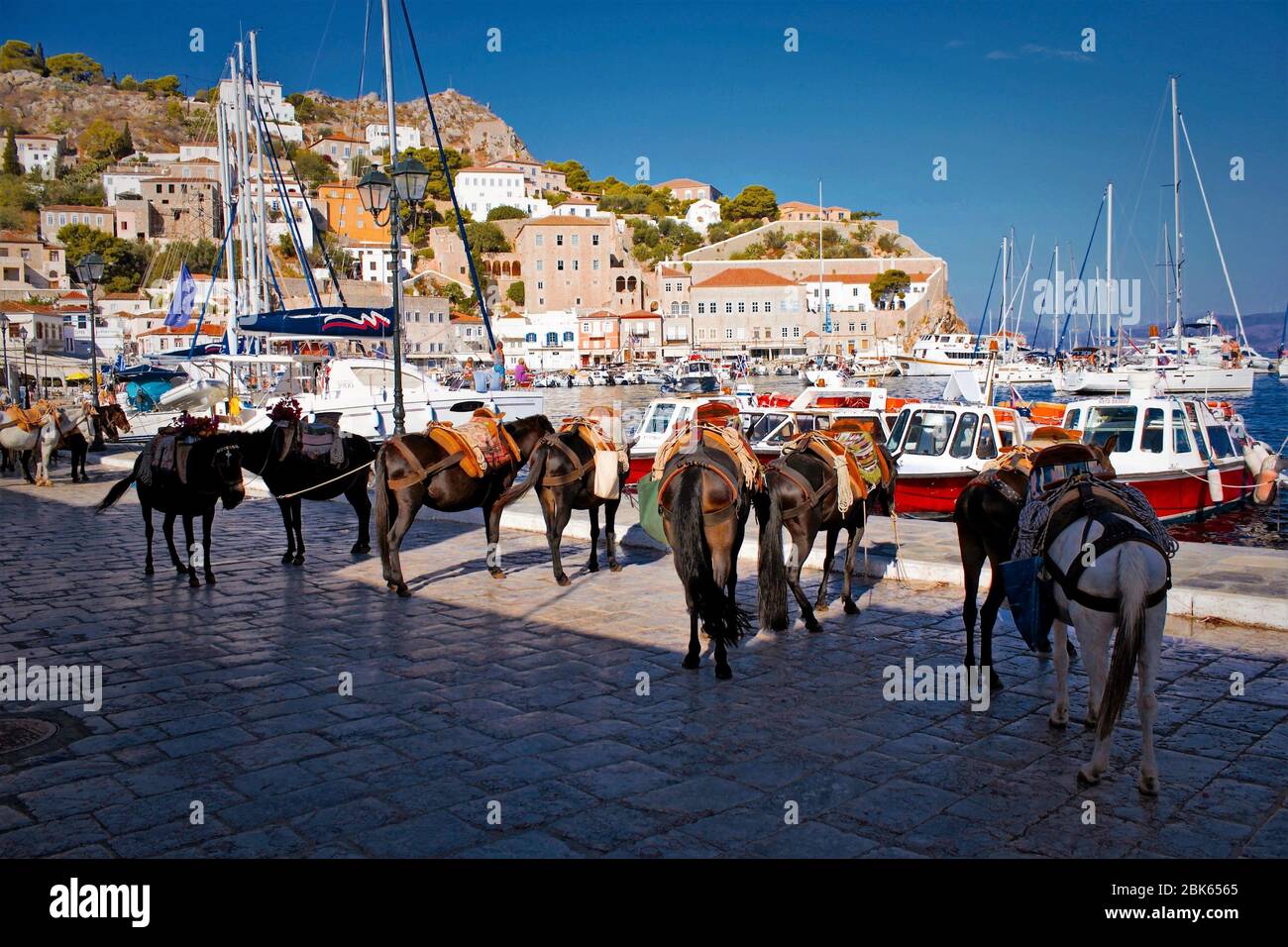 Maultiere warten auf Touristen im Hafen von Hydra Insel, Griechenland. Stockfoto