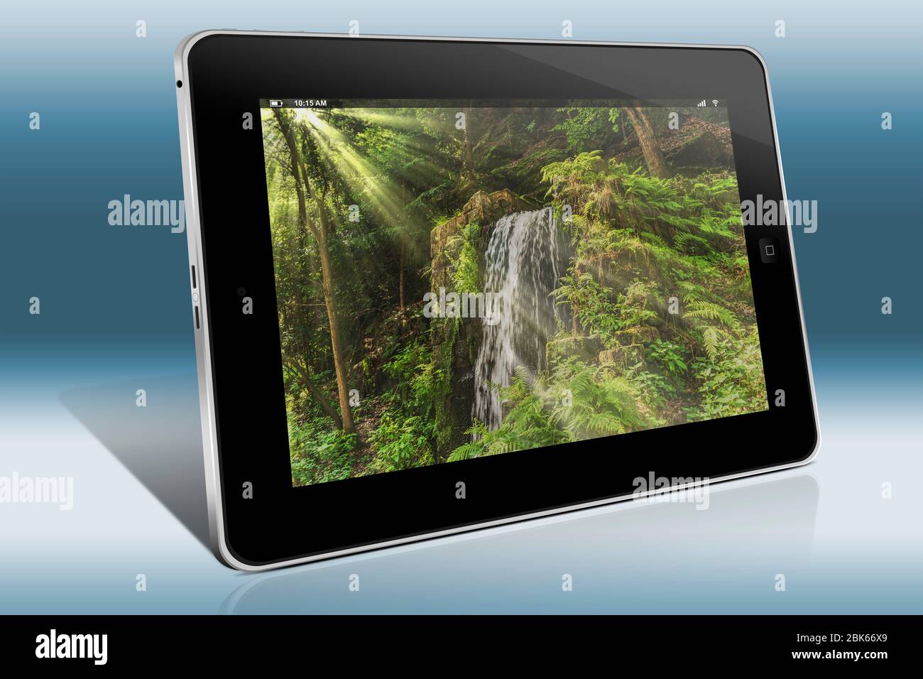Kleiner Wasserfall im Wald, die Sonne scheint durch die Bäume, Hrensko, Ustecky kraj, Tschechische Republik, Europa Stockfoto