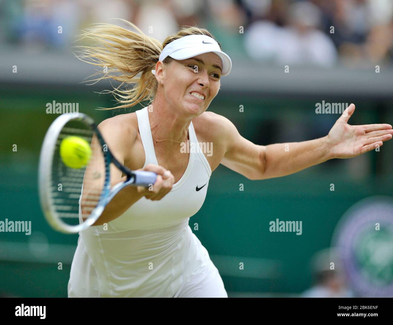 Wimbledon Tennis Championships 2014, Wimbledon London. F/F für Frauen: Maria Sharapova (RUS) im Kampf gegen Angelique Kerber (GER). Stockfoto