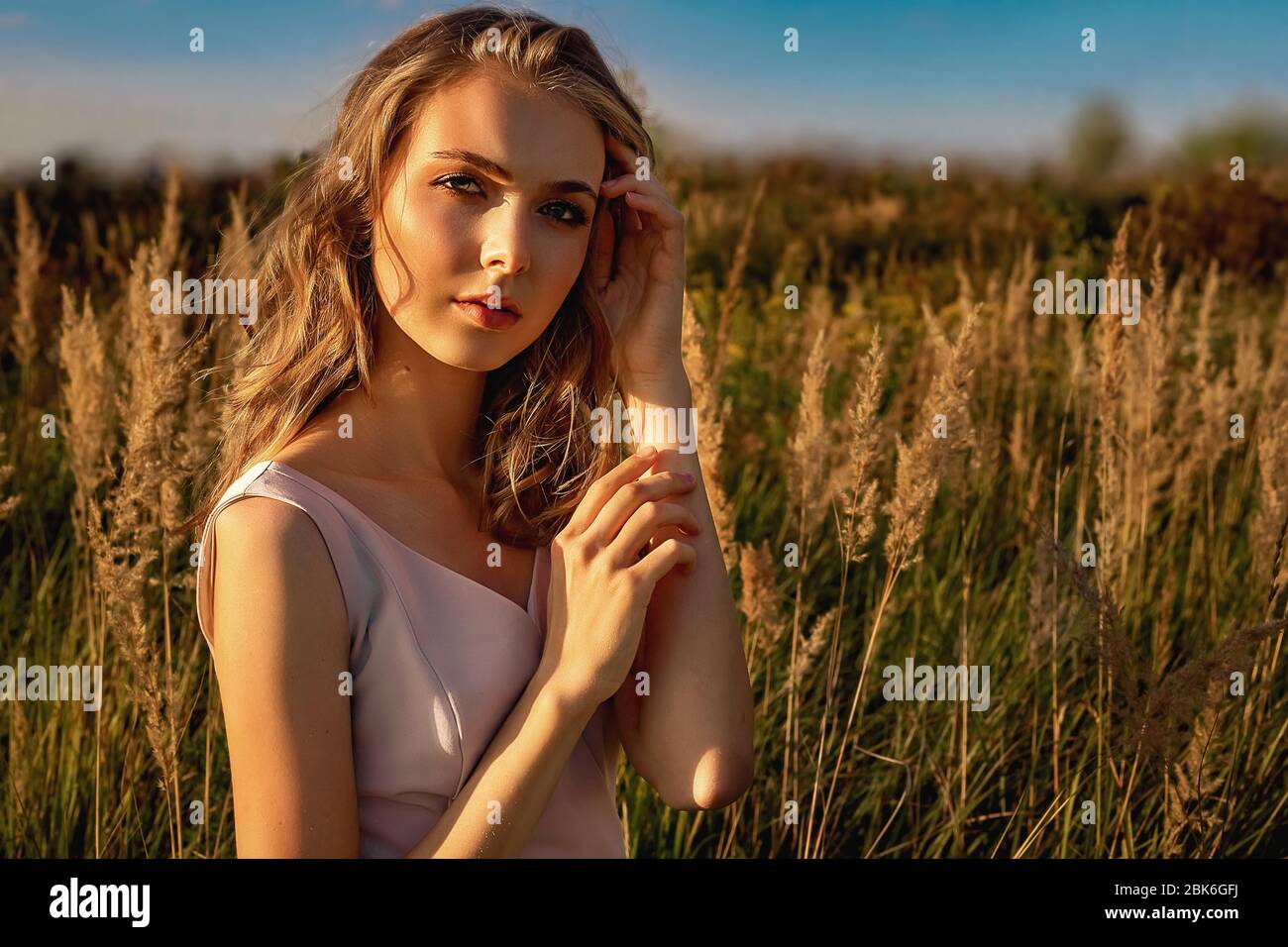 Porträt eines blonden jungen Mädchens in einem Kleid, das in einem Feld mit hohem Gras vor einem Hintergrund von blauem Himmel und einem Baum sitzt. An einem sonnigen Tag bei Sonnenuntergang Stockfoto