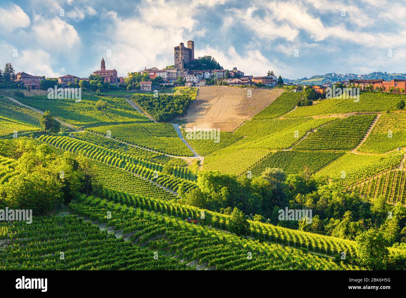 Langhe Region, Piemont, Italien. Weingärten Landschaft im Frühjahr - Sommer. Stockfoto