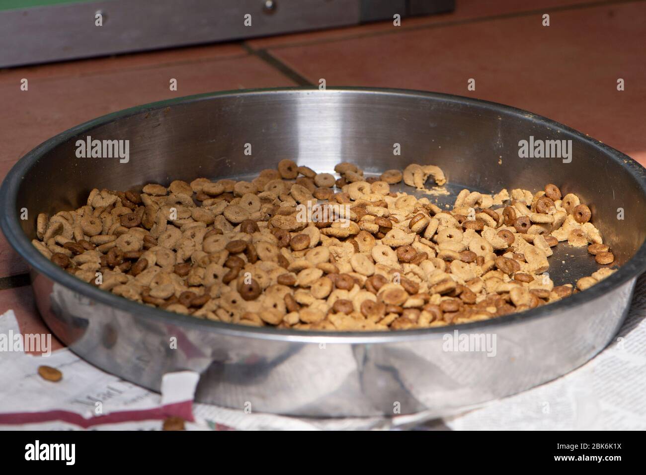Schüssel mit Hundefutter Stockfoto