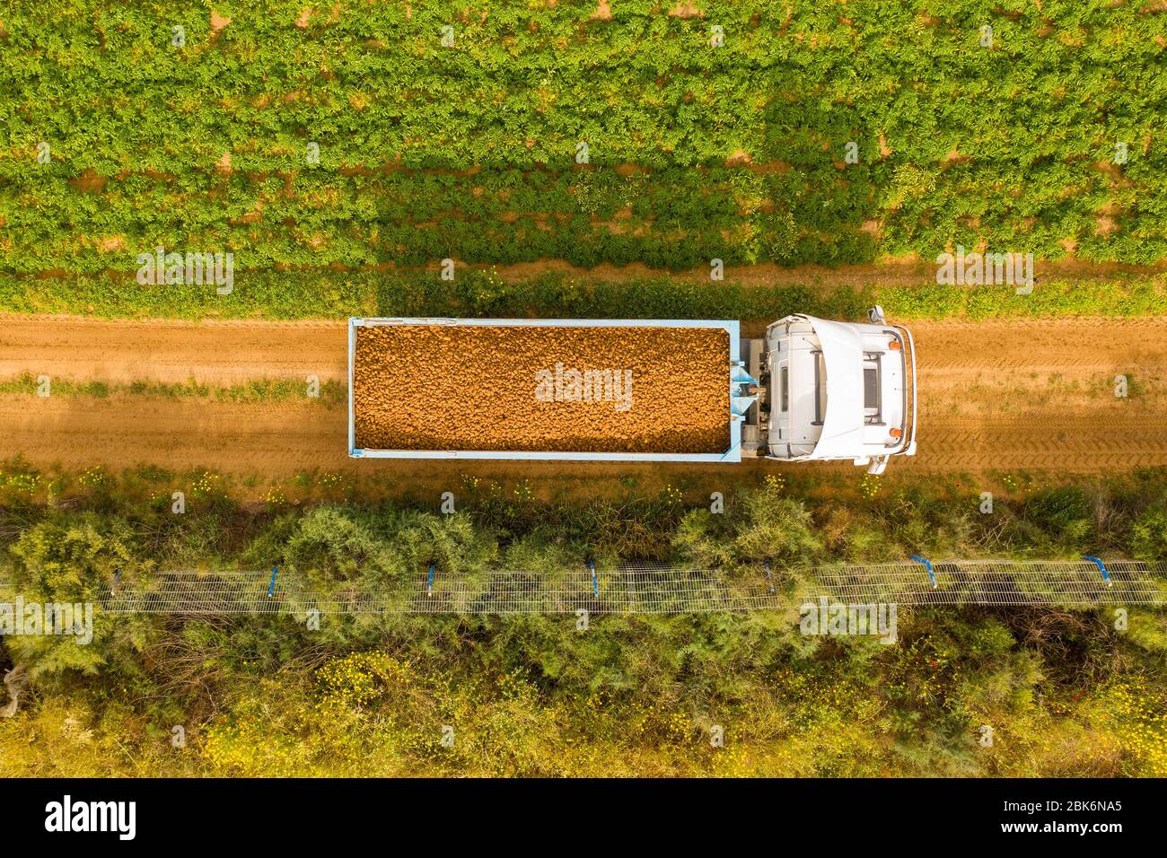 LKW beladen mit frisch gepflückten Kartoffeln über eine eingelegte Luftaufnahme Stockfoto
