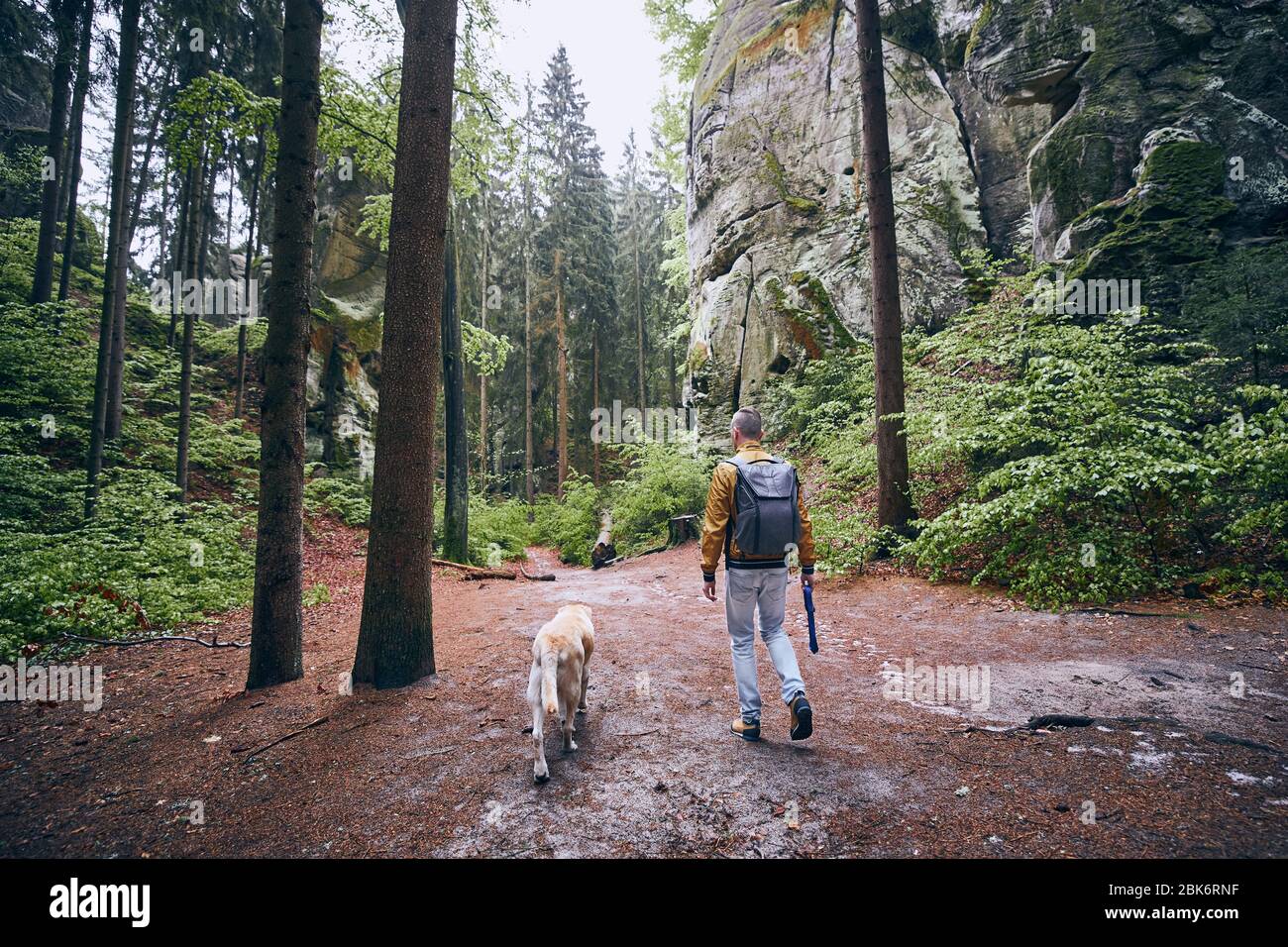 Mann mit Hund auf einem Fußweg mitten im Wald. Hruba Skala in Böhmisches Paradies, Tschechische Republik Stockfoto