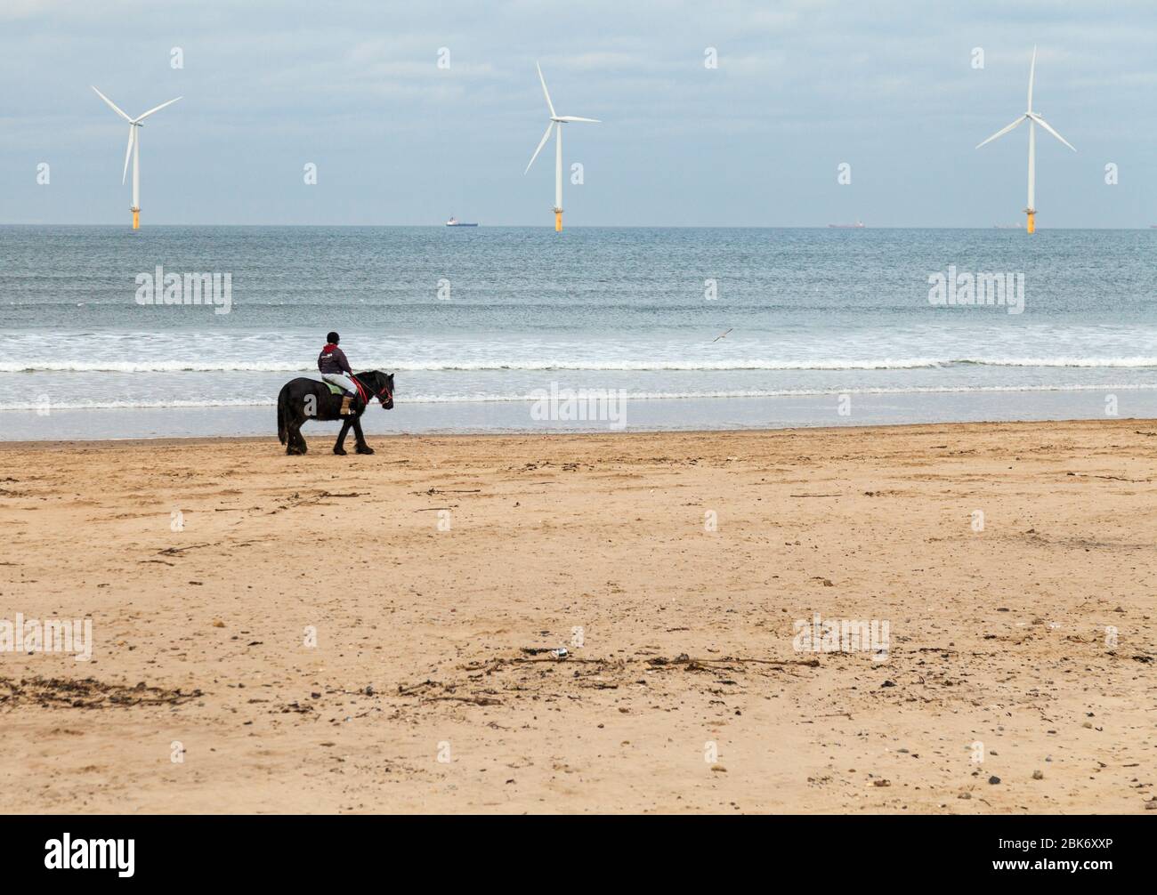 Eine Frau, die auf einem Pferd am Redcar-Strand mit den Windturbinen im Hintergrund im Nordosten Englands, Großbritannien, reitet Stockfoto