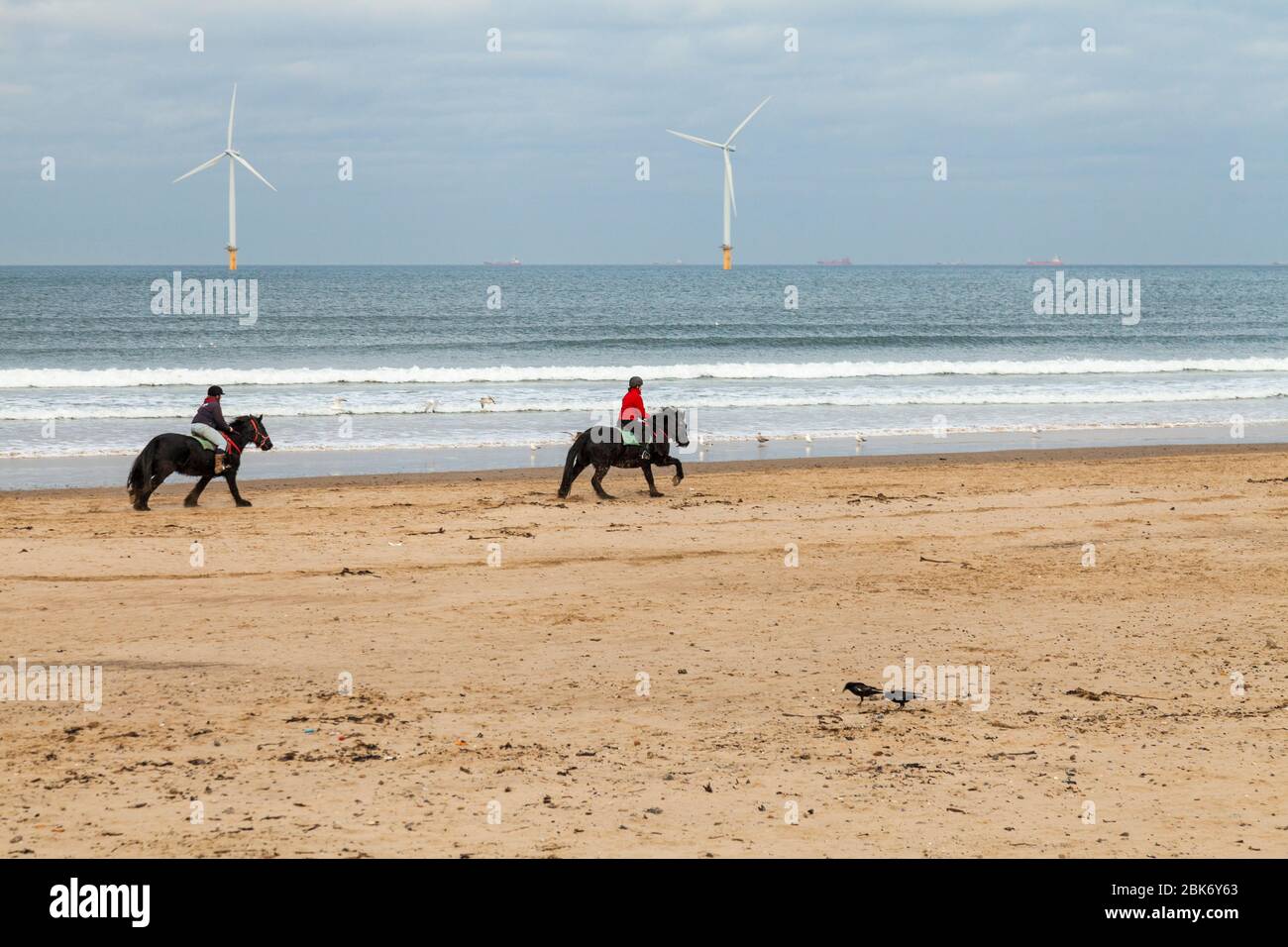 Zwei Frauen, die Pferde am Redcar Strand mit den Windenergieanlagen im Hintergrund im Nordosten Englands, Großbritannien, reiten Stockfoto