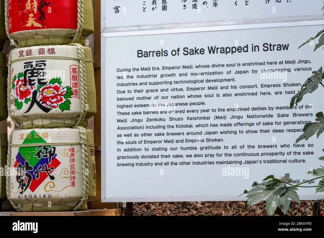 Sake-Fässer in Stroh, Meiji-Schrein, Tokio, Japan Stockfoto