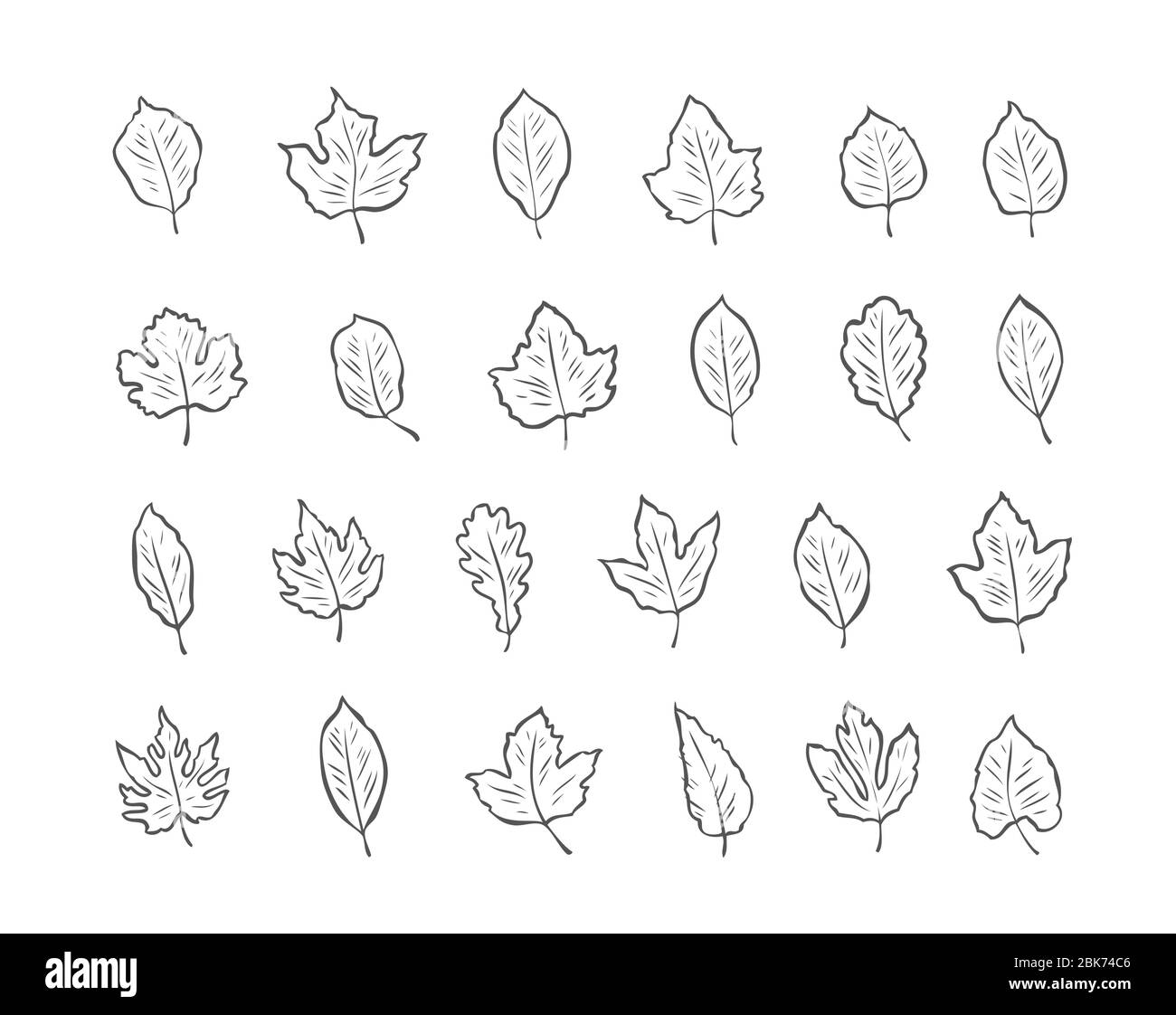 Leaves Set-Skizze. Umwelt, Natur Vektor Illustration Stock Vektor