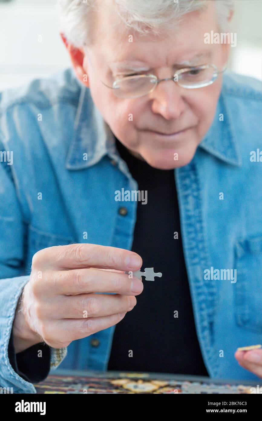 Puzzle wird von einem männlichen Rentner montiert zeigt seine Konzentration und akute geistige Schärfe, USA Stockfoto