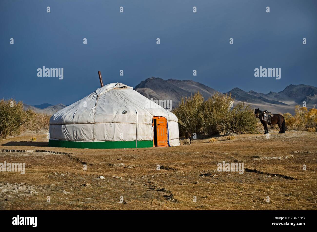 Kasachische Adlerjäger Ger mit ihren Goldenen Adler Bayan-Ulgii im Altai-Gebirge in der westlichen Mongolei Stockfoto