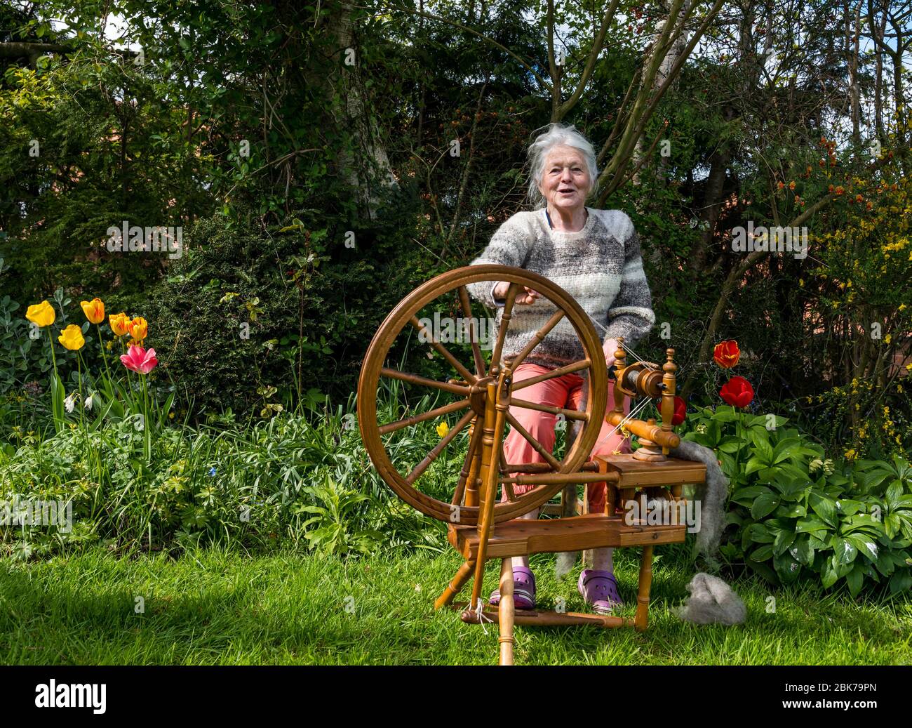 Camptoun, East Lothian, Schottland, Vereinigtes Königreich. Mai 2020. Eine Gemeinde im Lockdown: Bewohner einer kleinen ländlichen Gemeinde zeigen, wie das Leben im Lockdown für sie ist. Im Bild: Jancis spinnt Wolle von Shetland-Schafen, die von einem Nachbarn in der Gemeinde gezüchtet werden Stockfoto