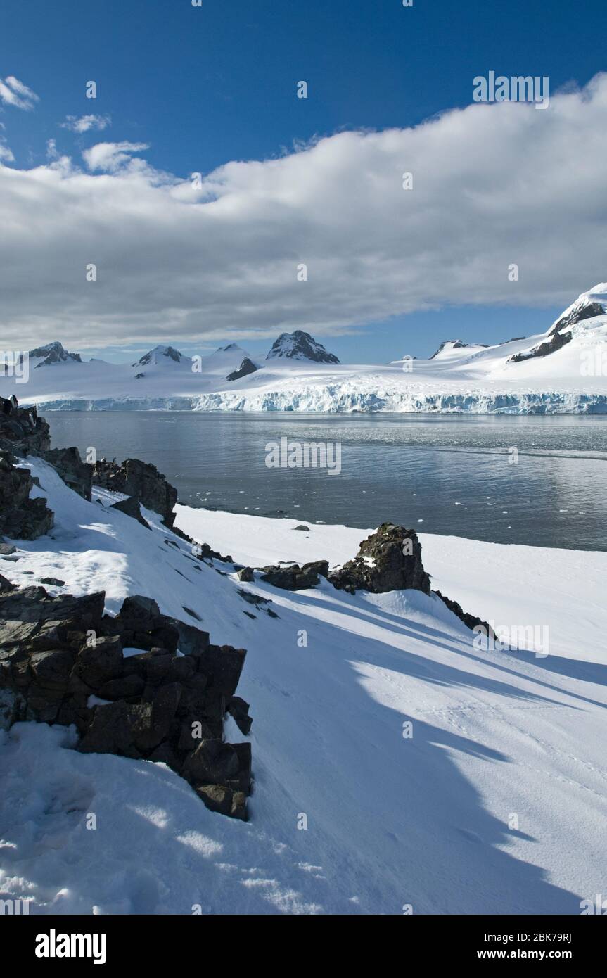 Half Moon Island Antarktische Halbinsel Antarktis November Stockfoto