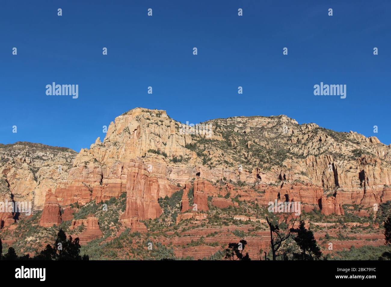 Atemberaubende Felsformationen aus rotem Sandstein und weißem Kalkstein mit Baumsilhouetten im Vordergrund auf dem Brins Mesa Trail in Sedona, Arizona, USA Stockfoto
