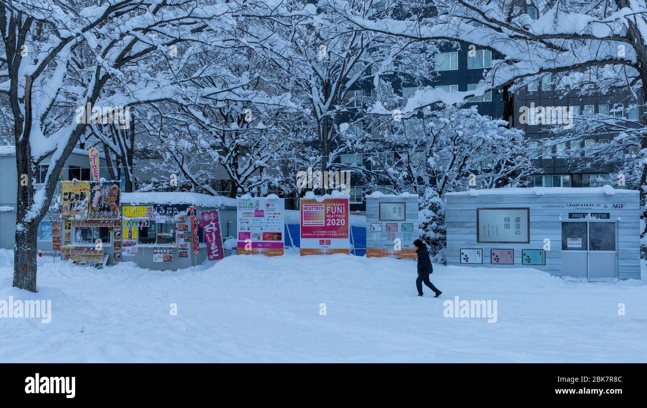 Schneeszene, Sapporo, Hokkaido, Japan Stockfoto