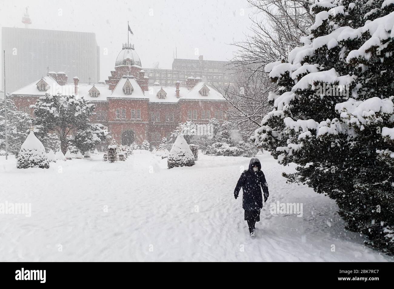 Lady Walking Through Park, Winter Snow Scene, Sapporo, Japan Stockfoto