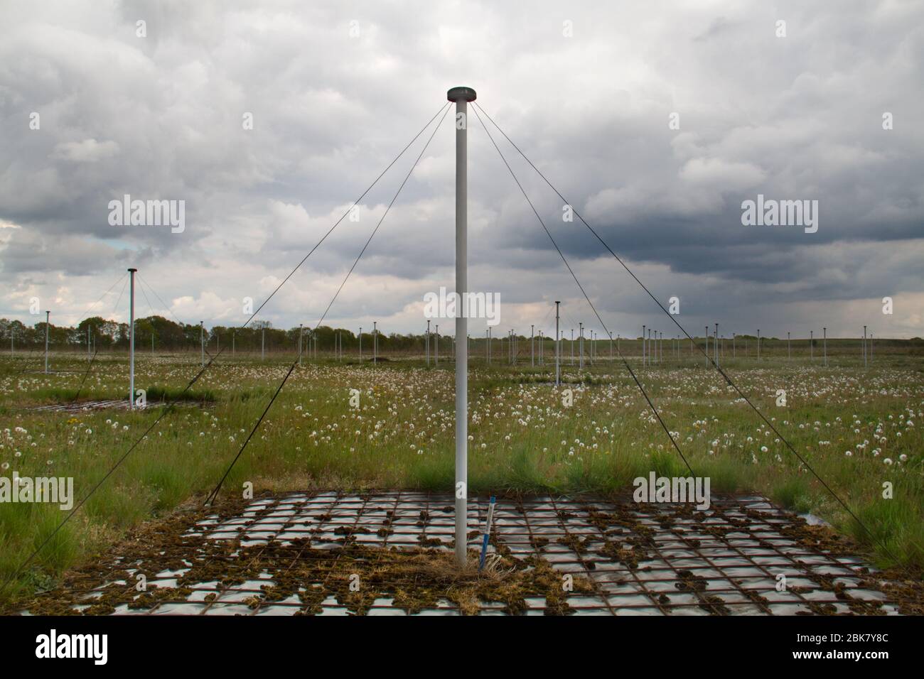 Antennenstation des LOFAR Radioteleskops für die astrophysikalische Forschung Stockfoto