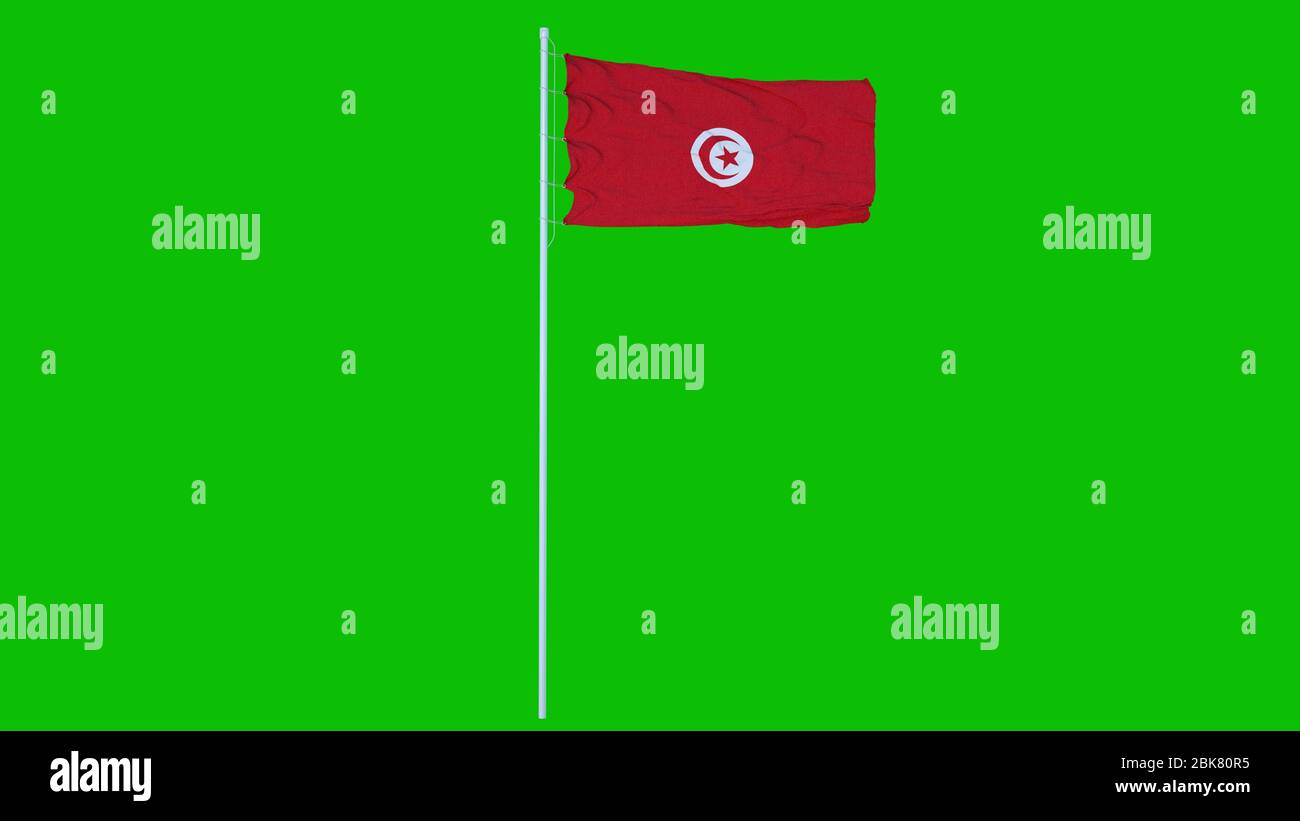Tunesien Flagge winkt auf Wind auf grünen Bildschirm oder Chroma-Taste Hintergrund. 3d-Rendering. Stockfoto