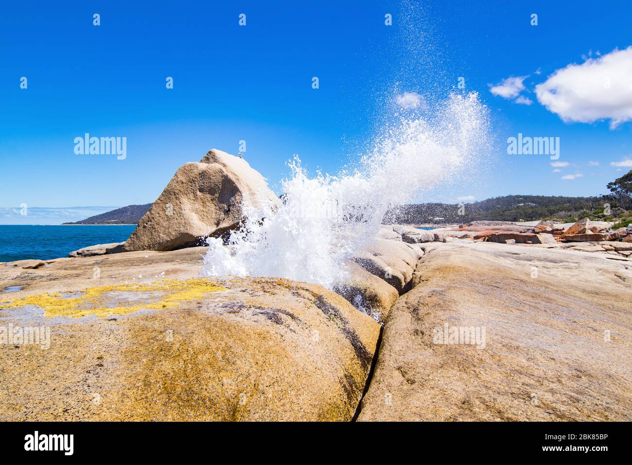 Das Bicheno-Blowhole in Aktion Stockfoto