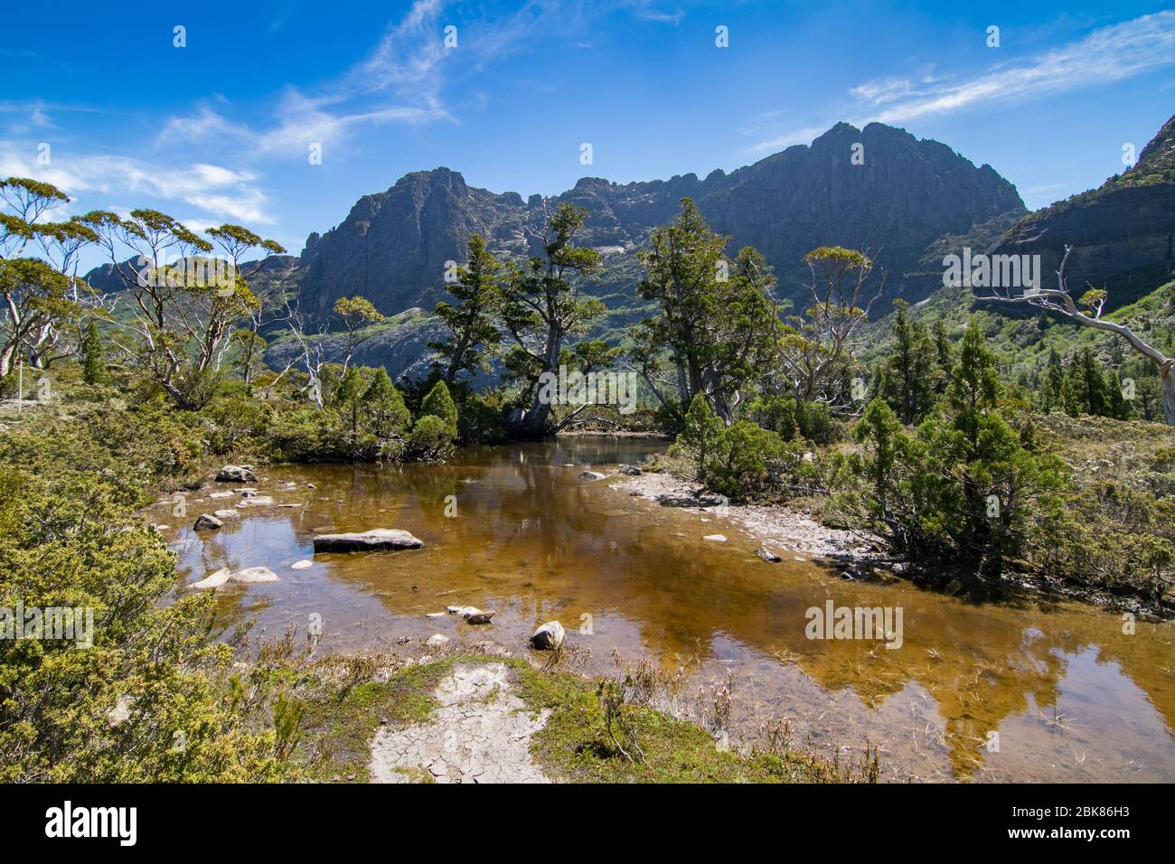 Landschaft im Cradle Mountain-Lake St Clair National Park Stockfoto