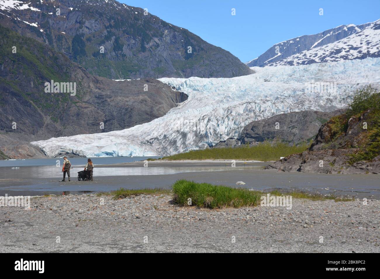 Der Mendenhall Glacier bei Juneau, Alaska, mündet in den Mendenhall Lake. Stockfoto