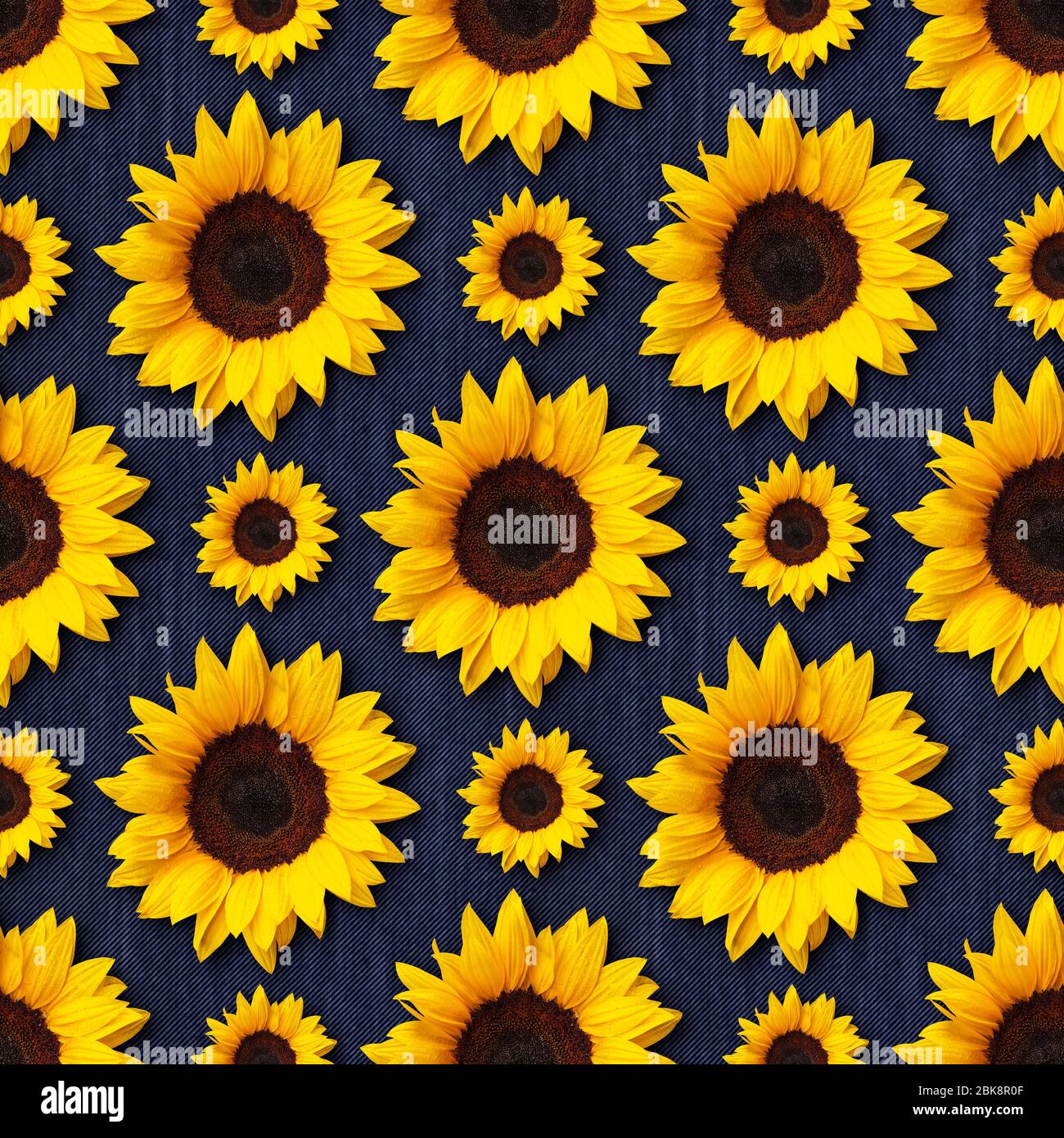Sonnenblumen Blumen nahtlose Muster-Design auf blauen Jeans Denim Hintergrund. Kann gekachelt werden Stockfoto