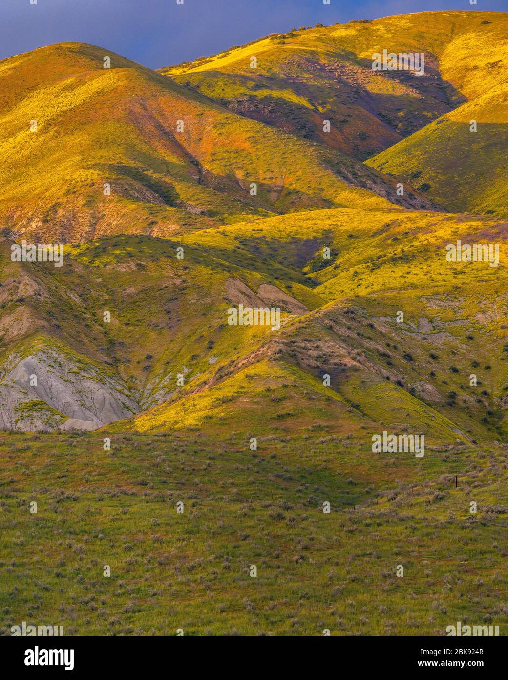 Last Light, Tremblor Range, Carrizo Plain National Monument, San Luis Obispo County, Kalifornien Stockfoto