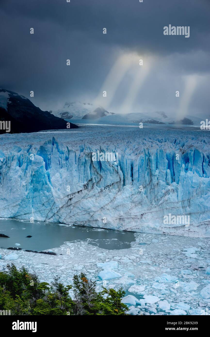 Eislandschaft (Eisberg & Wald) von El Calafate, der Stadt am Rande des südlichen patagonischen Eisfeldes in der argentinischen Provinz Santa Cruz kno Stockfoto