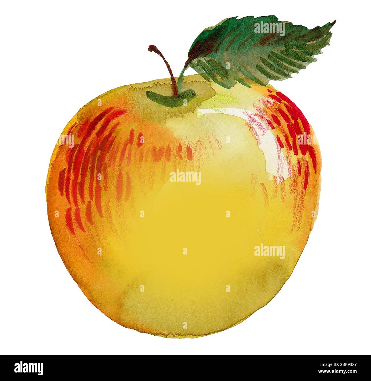 Süße reife saftige Apfelfrucht. Aquarellmalerei Stockfoto