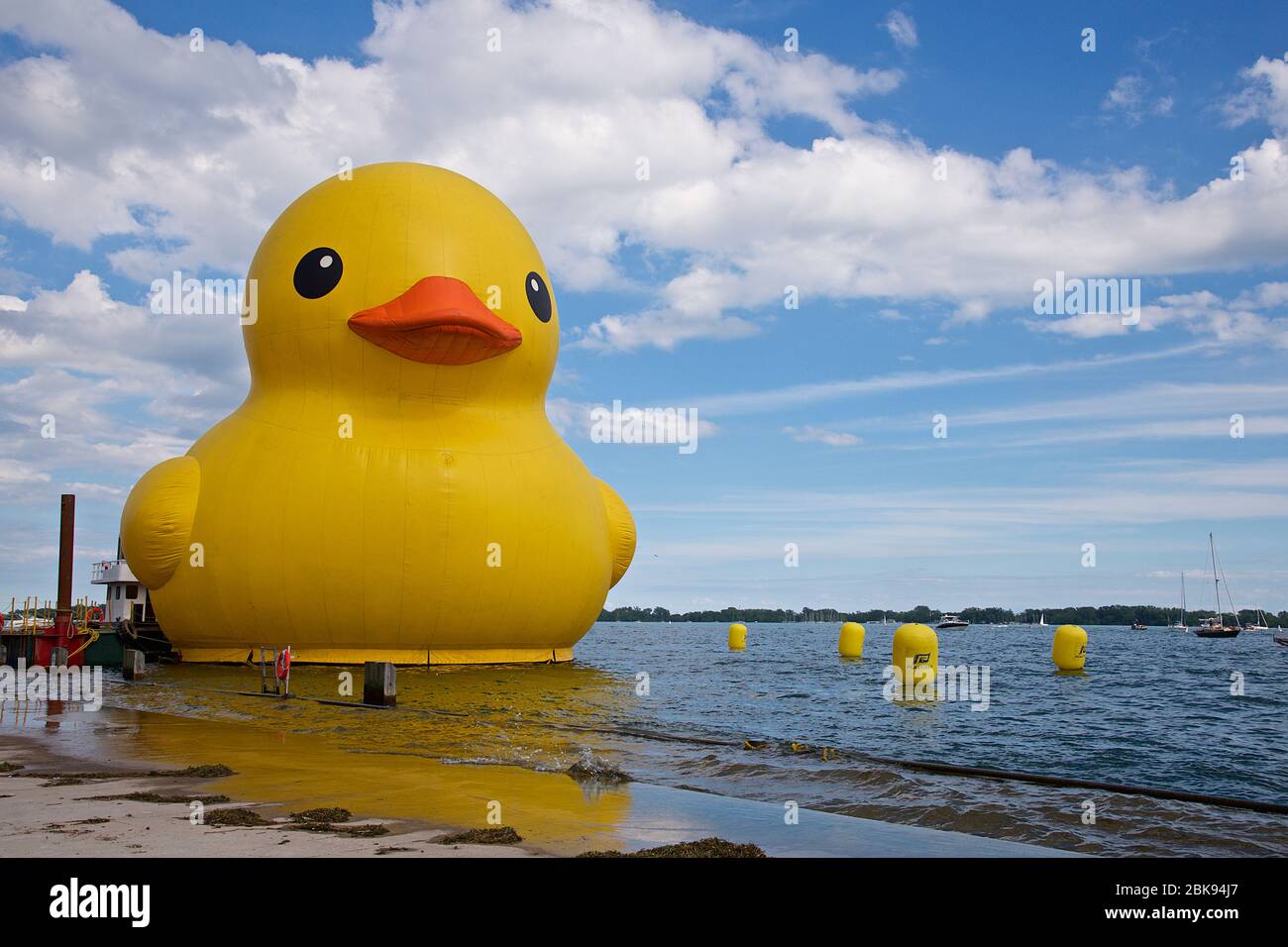 "Rubber Duck" schweben ruhig im Hafen von Toronto City. Aufblasbare gelbe Ente im HTO Park in Toronto ausgestellt Stockfoto