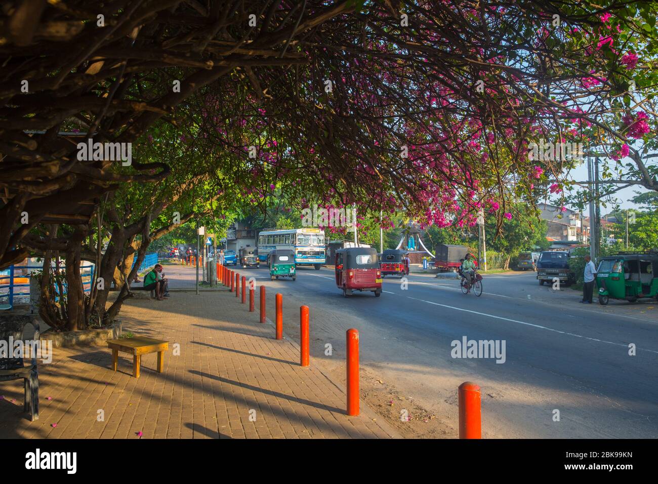 Schöne Straße bei Negombo in Sri Lanka. Stockfoto