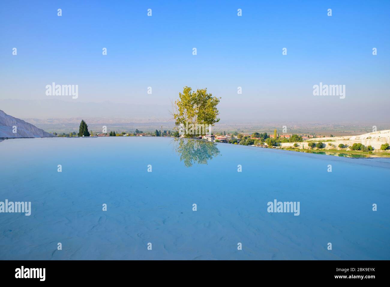 Ein Baum und Reflexion am Pool in Pamukkale (Baumwollschloss), Denizli, Türkei Stockfoto