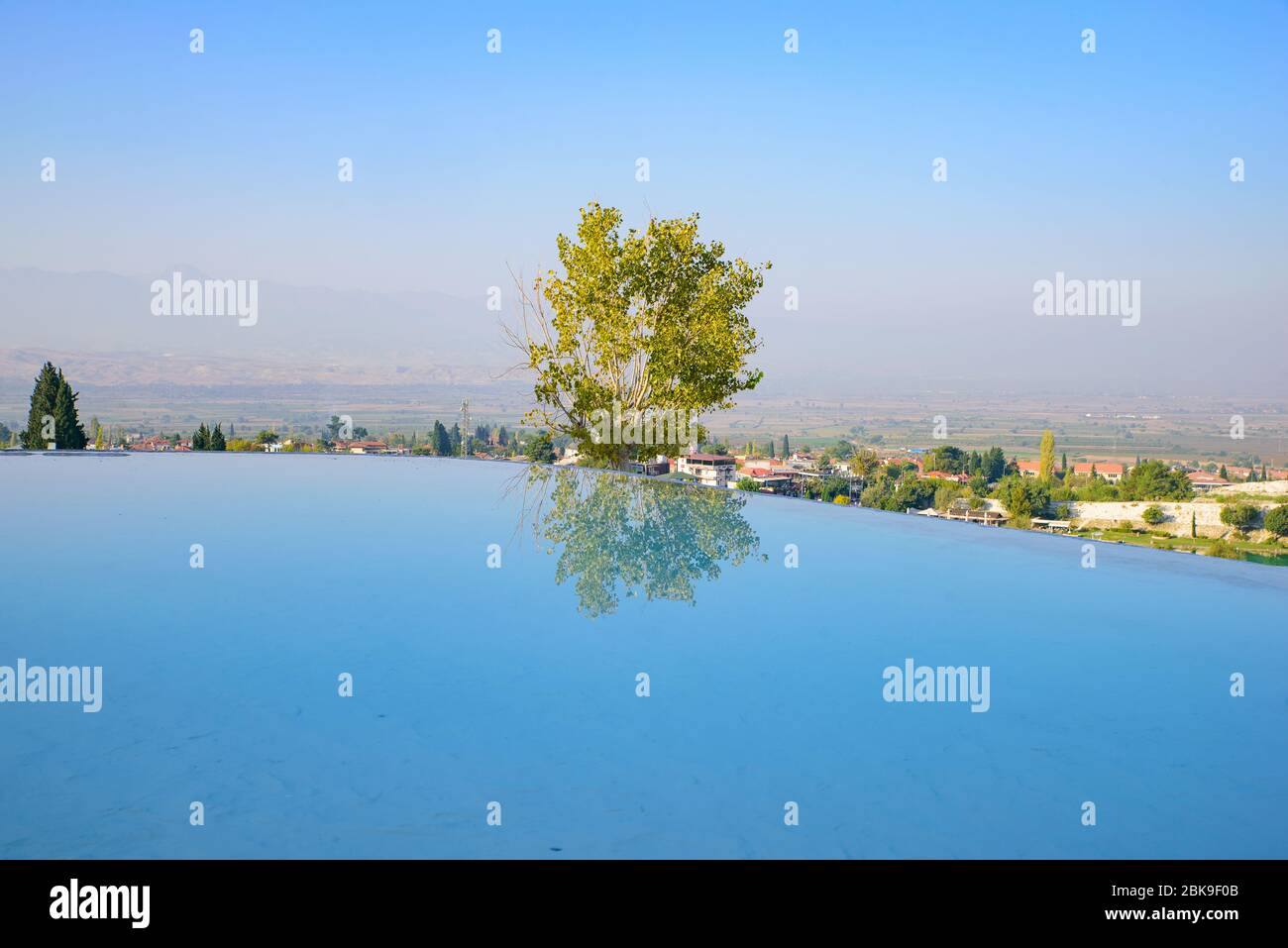 Ein Baum und Reflexion am Pool in Pamukkale (Baumwollschloss), Denizli, Türkei Stockfoto
