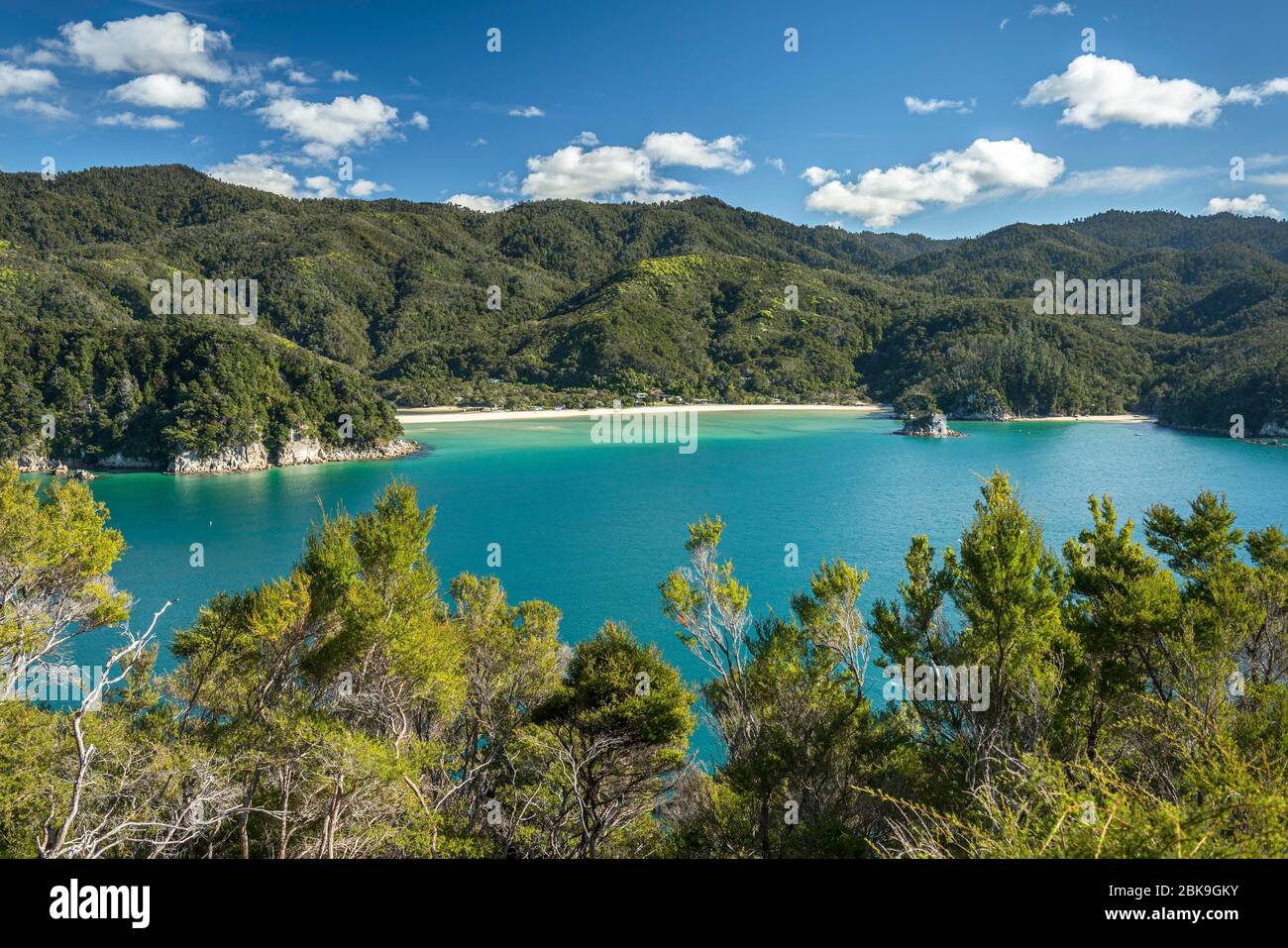 Grünes Meer mit gelbem Sandstrand, tropische Hügel im Hintergrund, Abel Tasman Coastal Track, Abel Tasman National Park, Torrent Bay, Takaka, Tasman, New Stockfoto