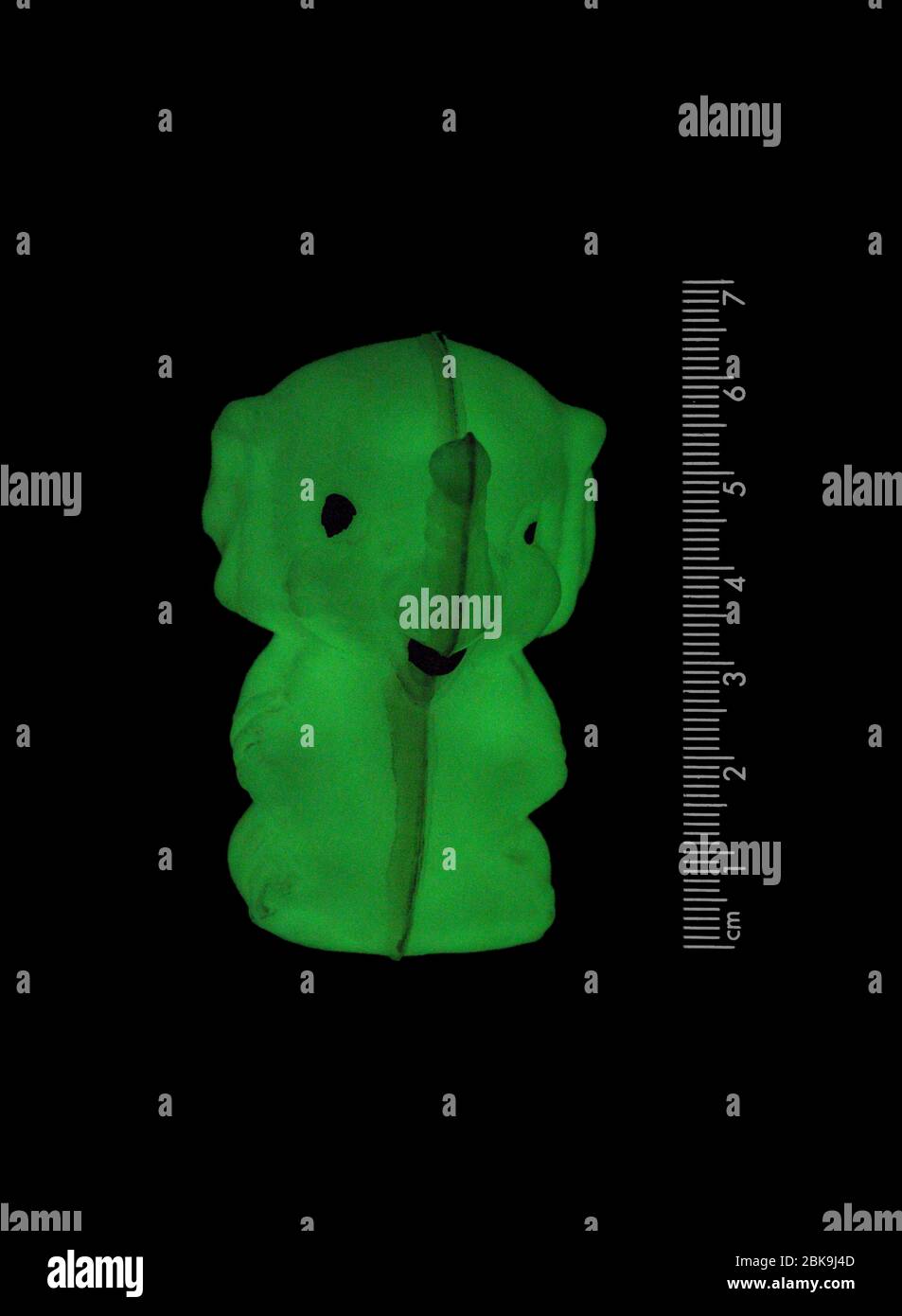 Ein Foto, das in völliger Dunkelheit eines Plastiktrinkets aufgenommen wurde, das einem Elefanten ähnelt. Mit phosphoreszierender Farbe beschichtet, leuchtet sie im Dunkeln grün. Stockfoto