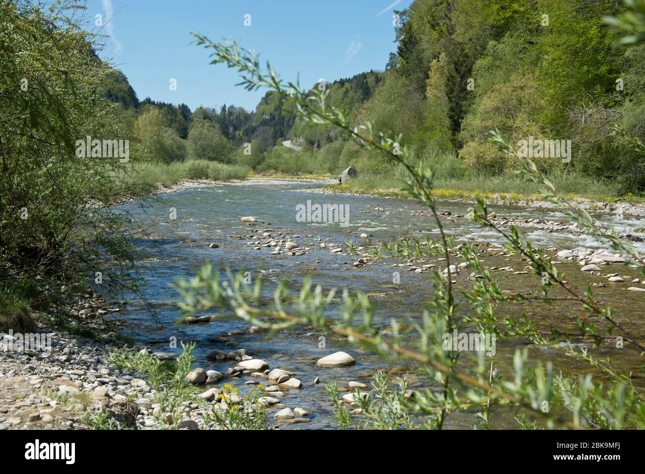 Einer der wenigen unberatenen Schweizer Flüsse, die Sense, zwischen Guggisberg und Schwarzenburg Stockfoto