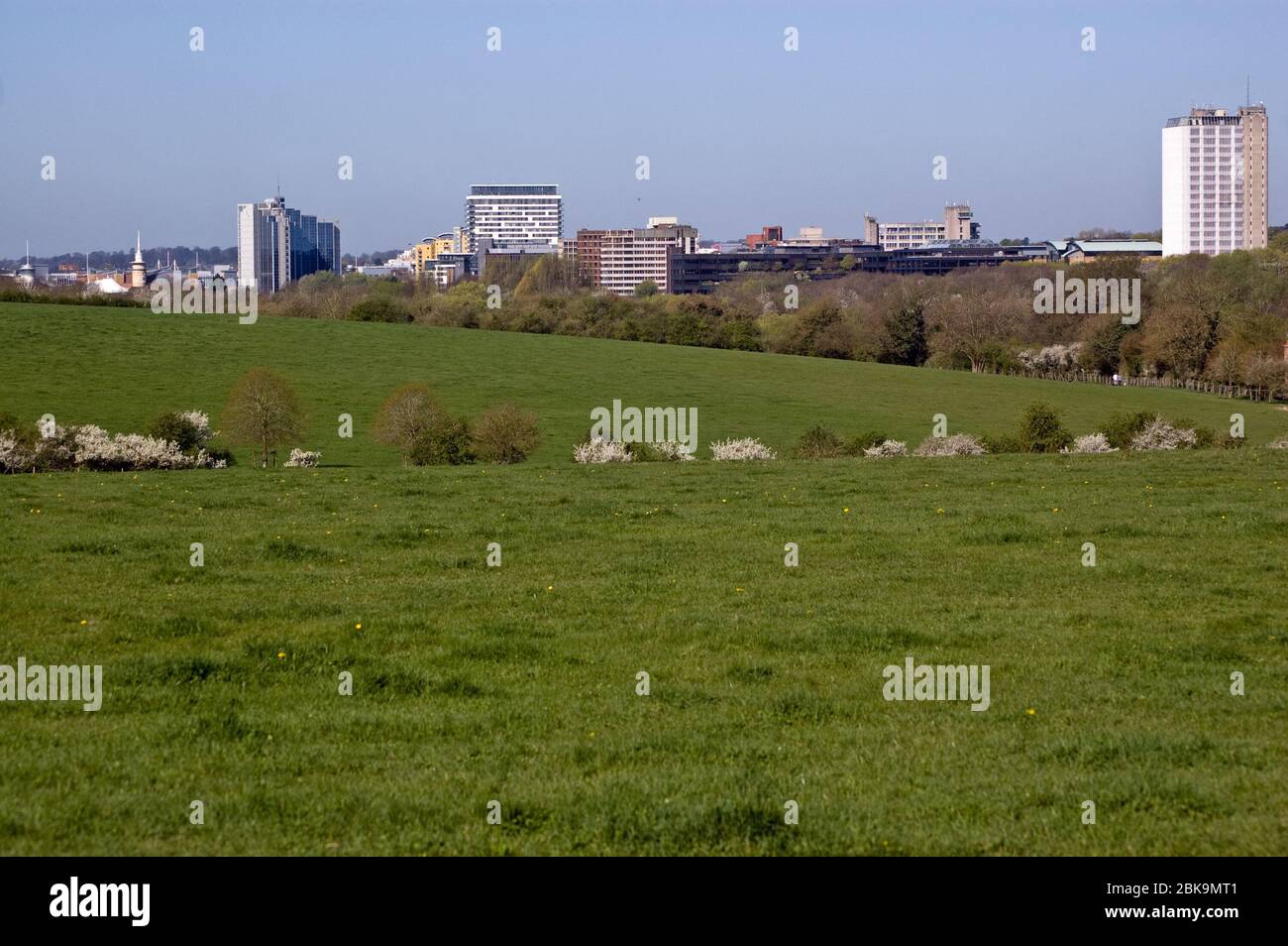 Ein Blick auf die Hampshire Stadt Basingstoke mit Mai Bäume zeigen ihre Frühlingsblüte. Stockfoto