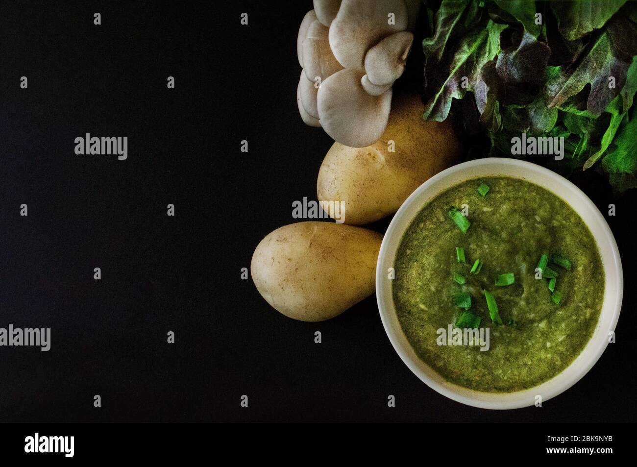 Suppenpüree, frisches Gemüse, Pilze und Grüns auf schwarzem Hintergrund. Stillleben. Food Foto mit Platz für Text. Stockfoto