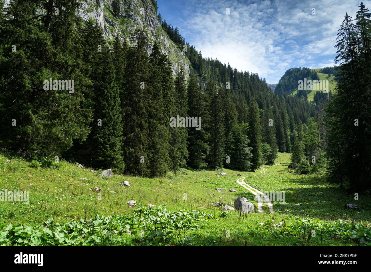 Weg zum Jenner im Berchtesgadener Land Stockfoto
