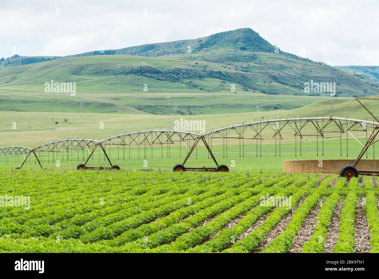 Mitteldrehsystem, das über einer Ernte auf einem Bauernhof in Kwazulu Natal, Südafrika, steht Stockfoto