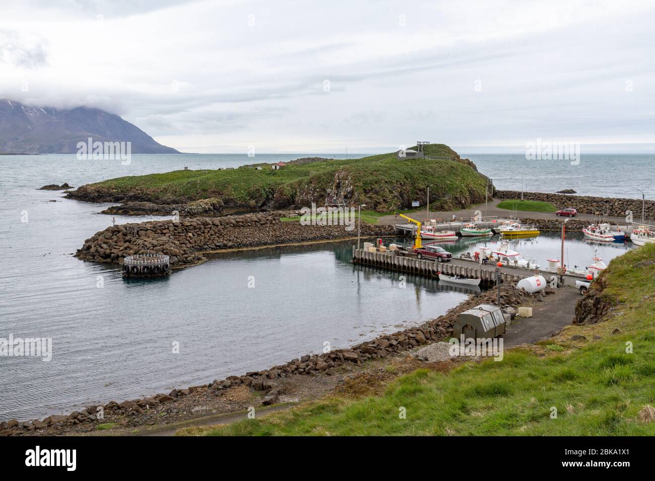 Gesamtansicht des Habitats und Harborins Borgarfjarðarhöfn des Atlantischen Papageientaucher (Fratercula arctica) im Nordosten Islands. Stockfoto