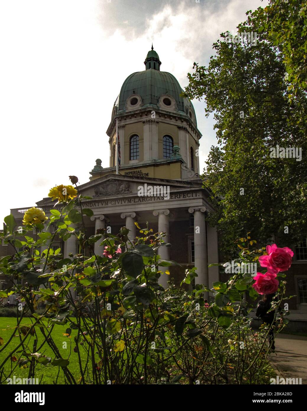 Rosen mit dem IWM London im Hintergrund Stockfoto Rosen mit dem IWM London im Hintergrund Stockfoto