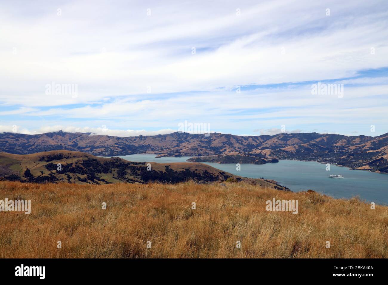 Akaroa. Akaroa Long Harbor von der Summit Road genommen. Französische Regelung. Kreuzfahrtschiff in der Bucht verankert. Eastern Shore, South Island, Neuseeland. Stockfoto