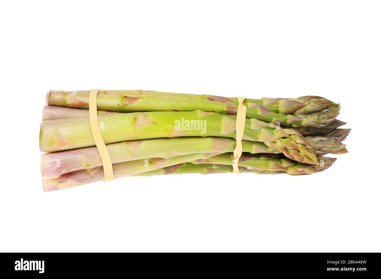 Bund von frischem Spargel isoliert gegen weiß Stockfoto